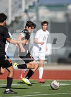 Photo from the gallery "Bishop Manogue @ Douglas"