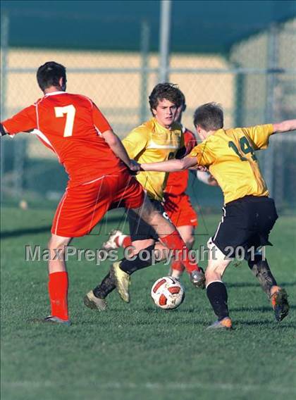 Thumbnail 1 in Williamsville East @ West Seneca East photogallery.