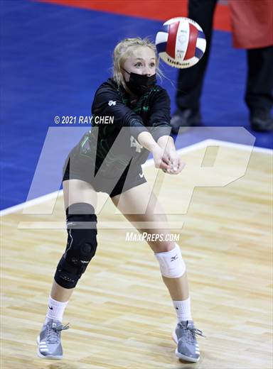 null - Photo 01