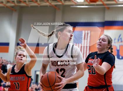 Thumbnail 3 in Muenster vs Nocona (UIL Basketball 2A Regional Semifinal) photogallery.