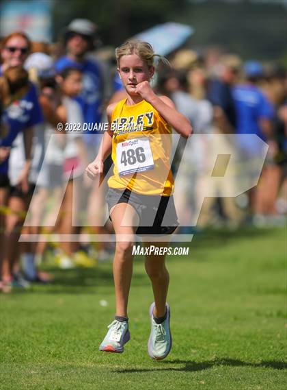 Thumbnail 1 in New Albany XC Classic photogallery.