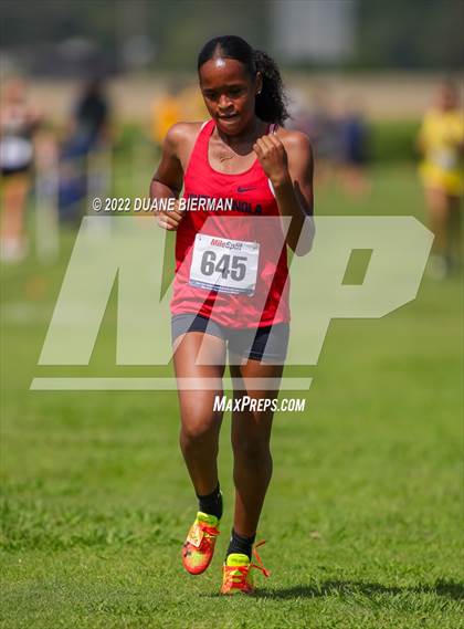 Thumbnail 2 in New Albany XC Classic photogallery.
