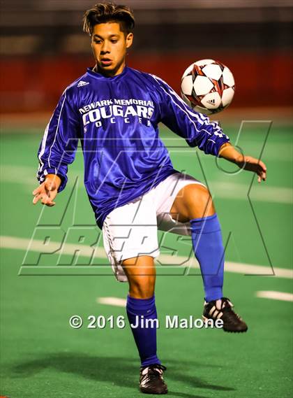 Thumbnail 3 in Newark Memorial @ James Logan photogallery.