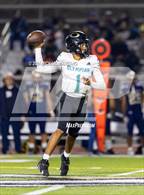 Photo from the gallery "Bonita Vista @ Olympian"