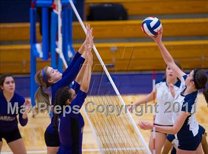 Thumbnail 3 in Warren @ O'Connor photogallery.