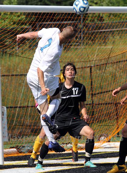 Thumbnail 3 in Oakton @ Cosby (VHSL State Semifinal) photogallery.