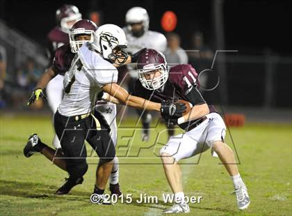 Thumbnail 3 in Sunlake @ Wiregrass Ranch photogallery.