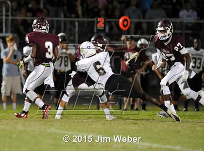 Thumbnail 1 in Sunlake @ Wiregrass Ranch photogallery.