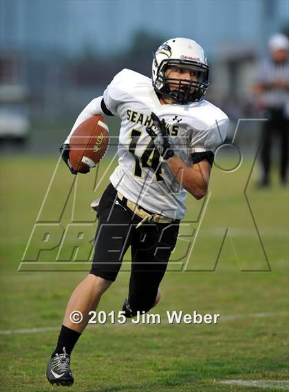 Thumbnail 2 in Sunlake @ Wiregrass Ranch photogallery.