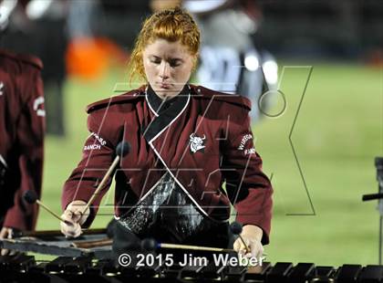 Thumbnail 3 in Sunlake @ Wiregrass Ranch photogallery.