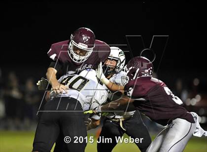 Thumbnail 2 in Sunlake @ Wiregrass Ranch photogallery.