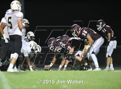 Thumbnail 3 in Sunlake @ Wiregrass Ranch photogallery.