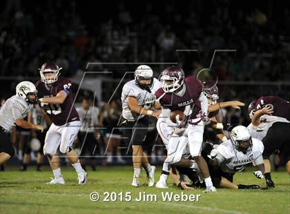 Thumbnail 1 in Sunlake @ Wiregrass Ranch photogallery.