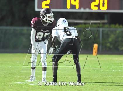 Thumbnail 3 in Sunlake @ Wiregrass Ranch photogallery.