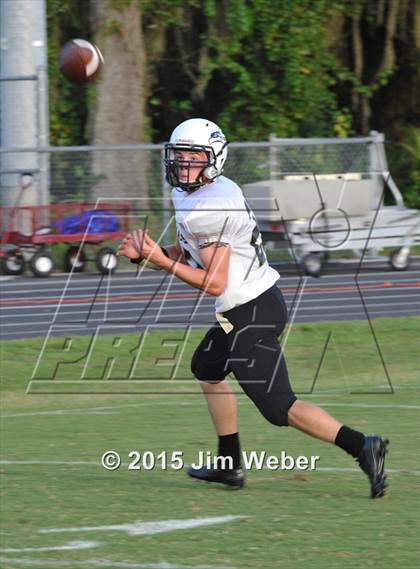 Thumbnail 3 in Sunlake @ Wiregrass Ranch photogallery.