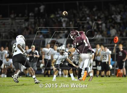 Thumbnail 1 in Sunlake @ Wiregrass Ranch photogallery.