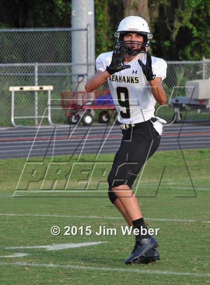 Thumbnail 1 in Sunlake @ Wiregrass Ranch photogallery.