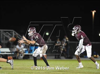 Thumbnail 3 in Sunlake @ Wiregrass Ranch photogallery.