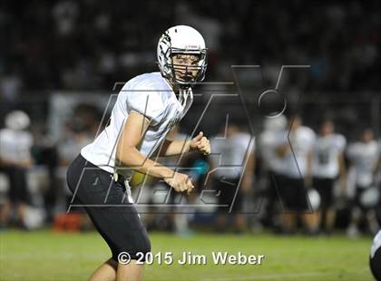 Thumbnail 3 in Sunlake @ Wiregrass Ranch photogallery.