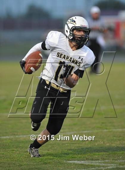 Thumbnail 1 in Sunlake @ Wiregrass Ranch photogallery.
