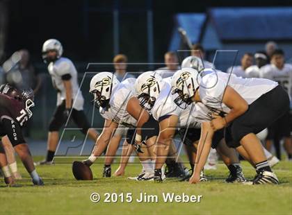 Thumbnail 3 in Sunlake @ Wiregrass Ranch photogallery.