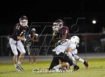 Thumbnail 1 in Sunlake @ Wiregrass Ranch photogallery.
