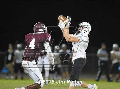 Thumbnail 3 in Sunlake @ Wiregrass Ranch photogallery.