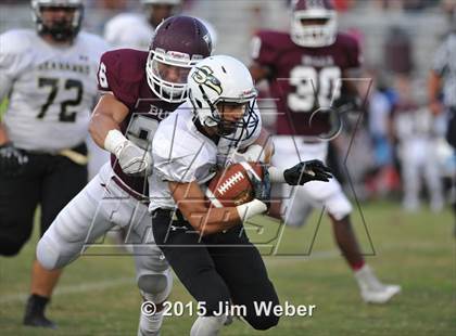 Thumbnail 3 in Sunlake @ Wiregrass Ranch photogallery.