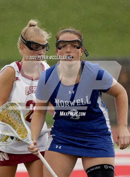 Thumbnail 1 in Norwell vs Newburyport (MIAA Division 3 Final) photogallery.