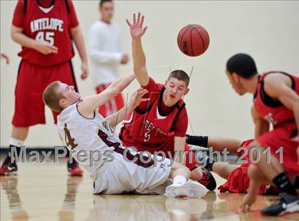 Thumbnail 1 in Antelope @ Whitney photogallery.
