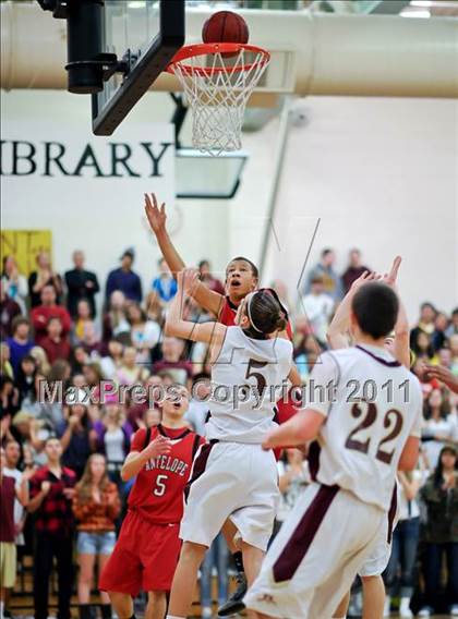 Thumbnail 3 in Antelope @ Whitney photogallery.