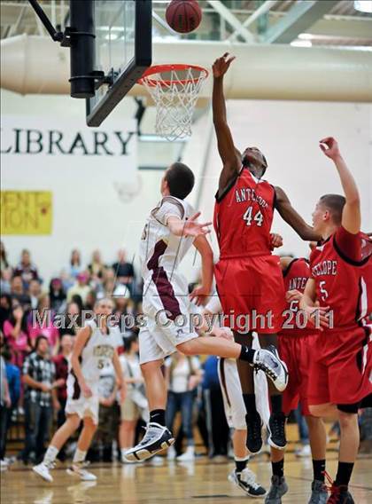 Thumbnail 3 in Antelope @ Whitney photogallery.