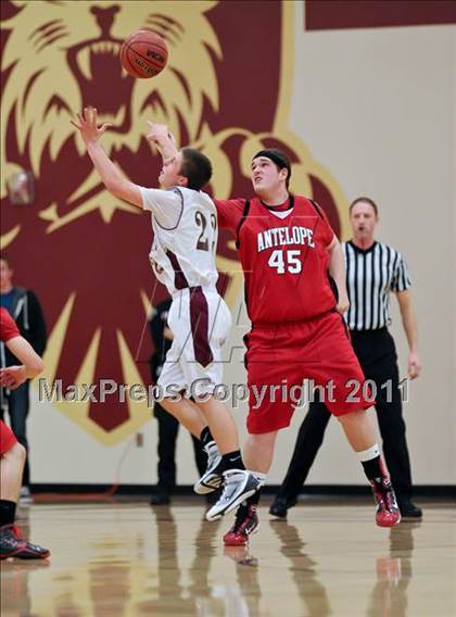 Thumbnail 3 in Antelope @ Whitney photogallery.