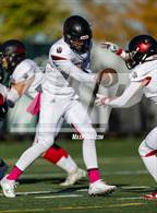 Photo from the gallery "Castle View @ Mountain Vista"