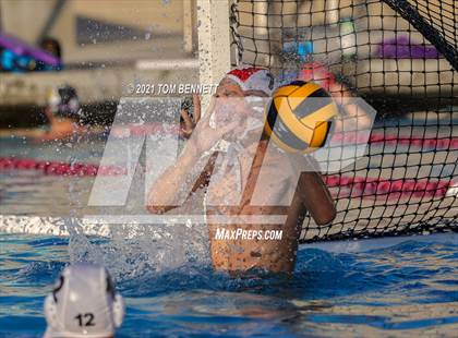 Thumbnail 3 in Montgomery @ Olympian photogallery.