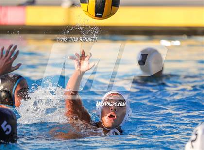 Thumbnail 1 in Montgomery @ Olympian photogallery.