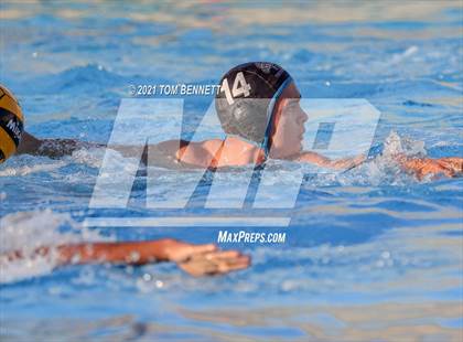 Thumbnail 3 in Montgomery @ Olympian photogallery.