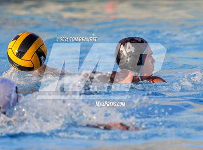 Thumbnail 1 in Montgomery @ Olympian photogallery.