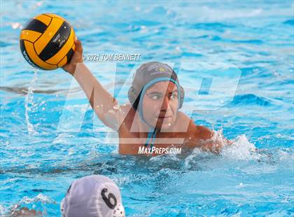 Thumbnail 1 in Montgomery @ Olympian photogallery.