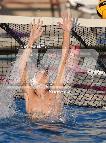 Thumbnail 2 in Montgomery @ Olympian photogallery.