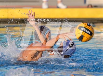 Thumbnail 1 in Montgomery @ Olympian photogallery.