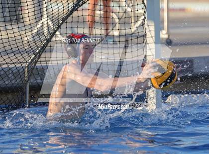 Thumbnail 3 in Montgomery @ Olympian photogallery.
