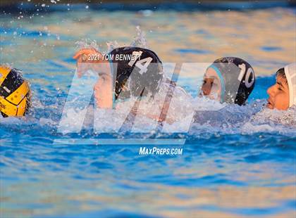 Thumbnail 2 in Montgomery @ Olympian photogallery.