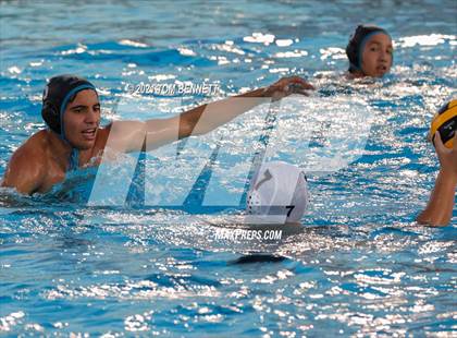 Thumbnail 3 in Montgomery @ Olympian photogallery.