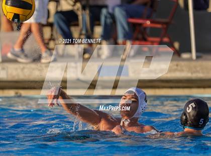 Thumbnail 3 in Montgomery @ Olympian photogallery.