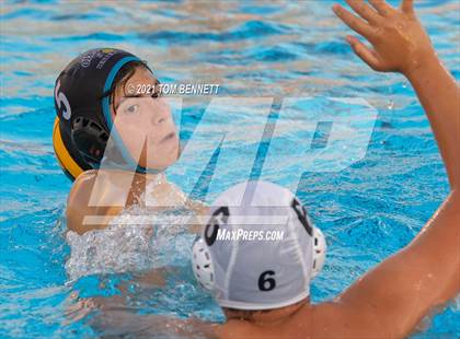 Thumbnail 2 in Montgomery @ Olympian photogallery.