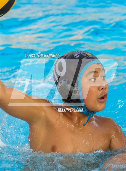 Thumbnail 2 in Montgomery @ Olympian photogallery.