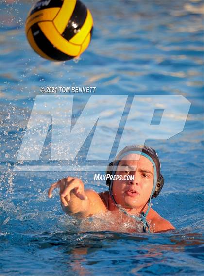 Thumbnail 1 in Montgomery @ Olympian photogallery.
