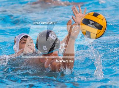 Thumbnail 3 in Montgomery @ Olympian photogallery.
