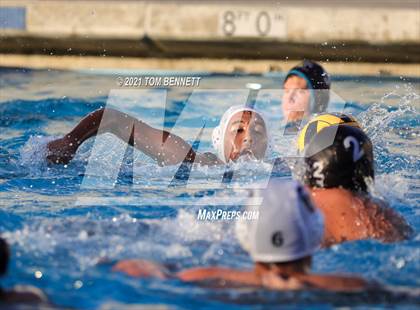 Thumbnail 1 in Montgomery @ Olympian photogallery.